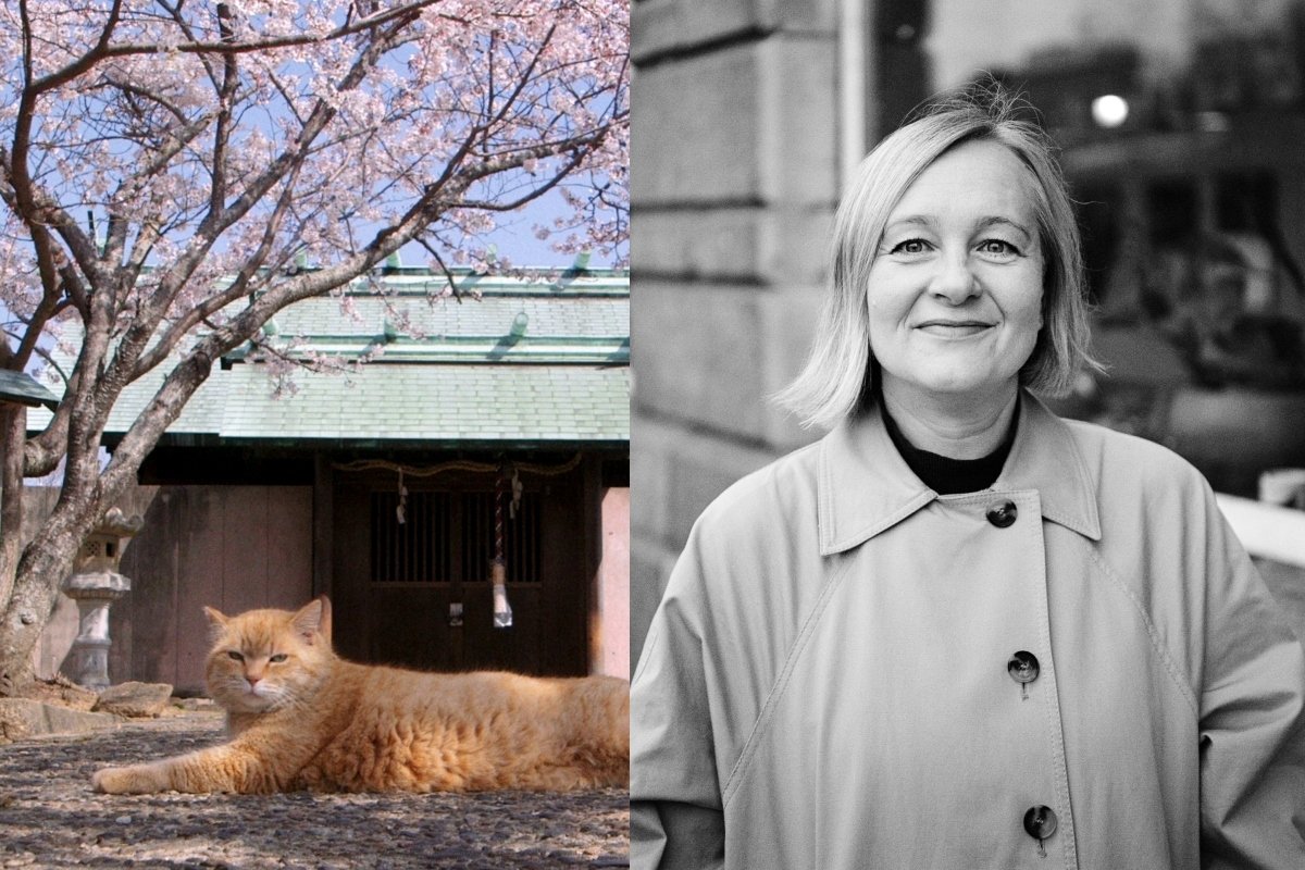 2. Vilma Levickaitė ir „Gokogu šventyklos kates“ stop kadras