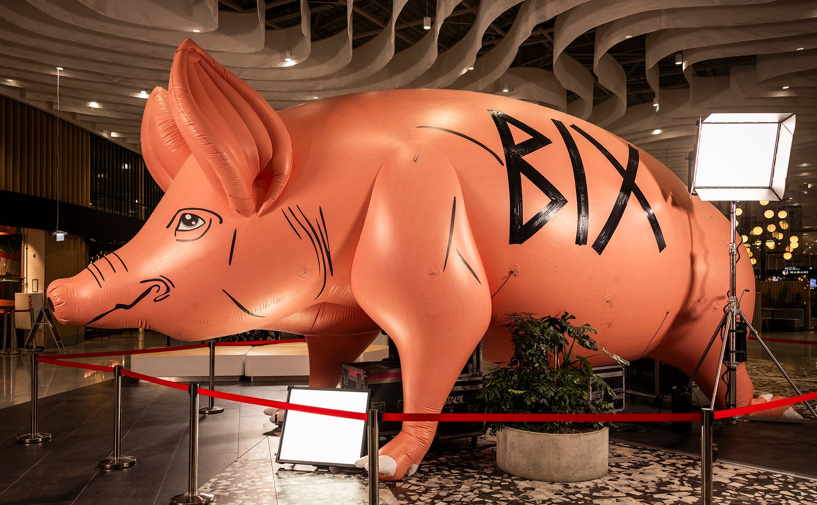 Vidas Černiauskas_MG_2220