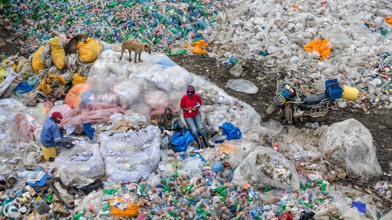 Sengirės kino žiema: du filmai apie Žemę ir žmoniją, kviečiantys treniruoti ekologinį mąstymą