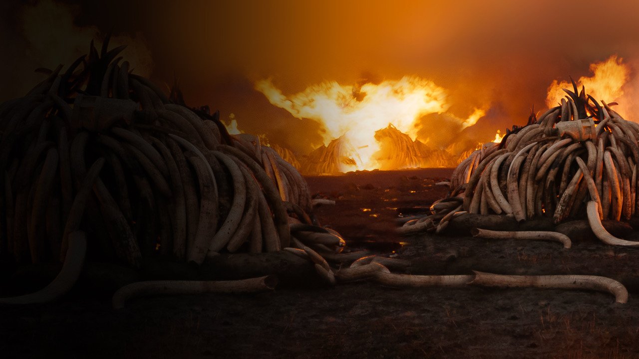 Filmo „Antropocenas_ žmogaus epocha“ kadras 4 (1)