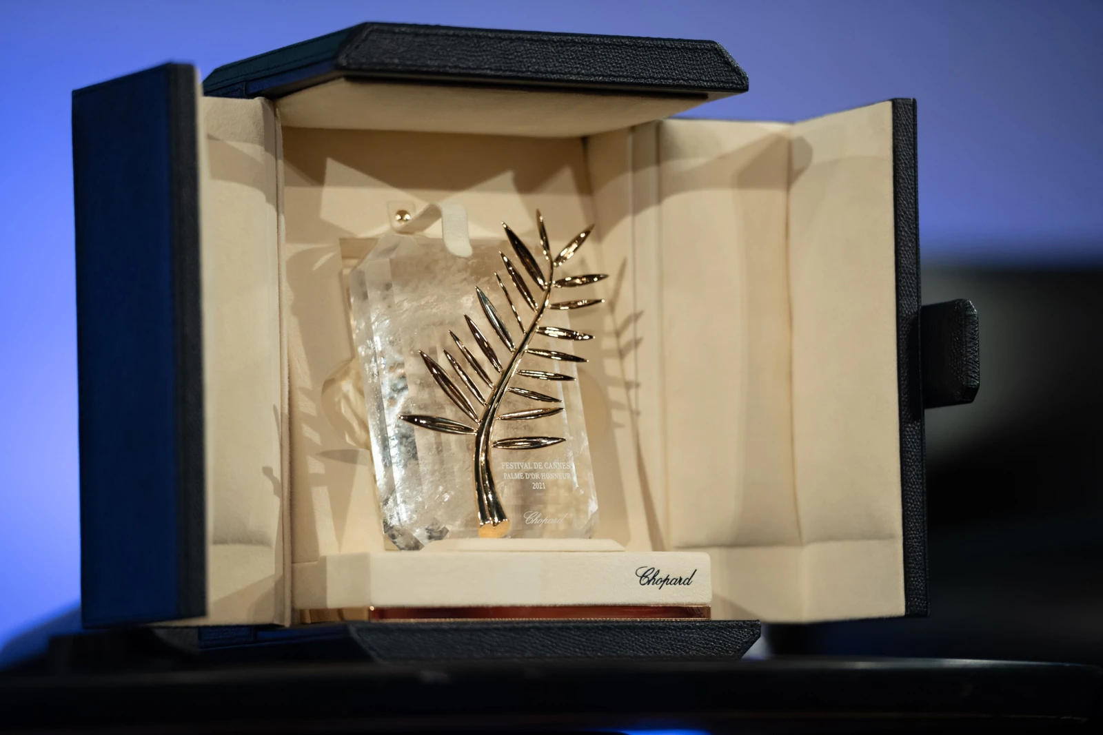 Paskelbta 2026 metų Kanų kino festivalio programa: atidarymo filmas – Pierro Salvadorio „Elektrinė Venera“